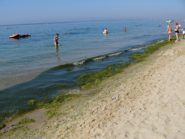 V asch je budoucnost!