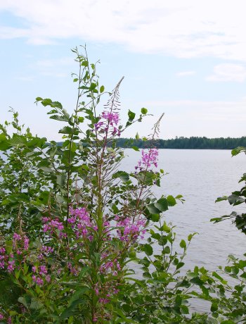 Tm erb - vrbka a jezero