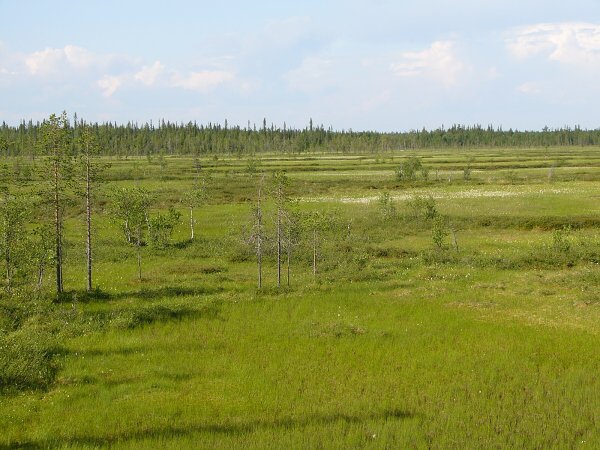 Ploch krajina jinho Laponska