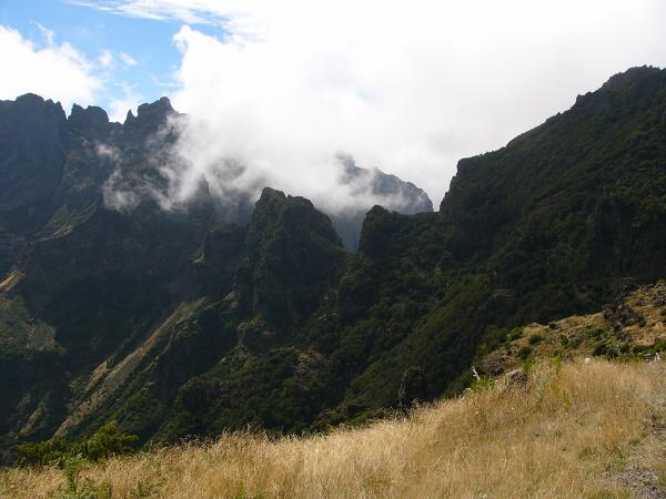 ...a vali se pes hebeny.