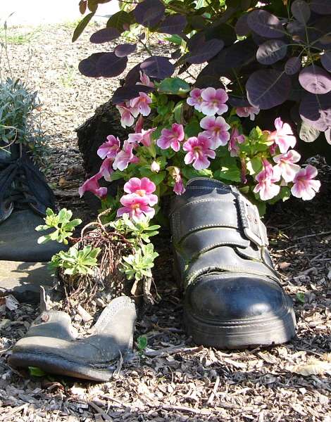 Na jae rozkvt vechno.