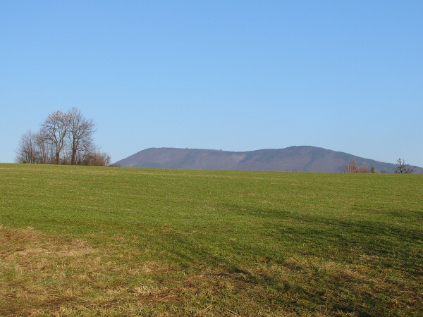 Zelen pln pod Radhotm